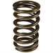 Melling Melling Valve Springs VS-1484 Autofit