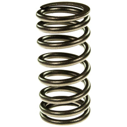 Melling Melling Valve Springs VS-1589 Autofit
