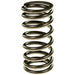 Melling Melling Valve Springs VS-1589 Autofit