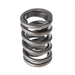 Melling Melling Valve Springs VS-160 Autofit