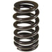 Melling Melling Valve Springs VS-1613 Autofit