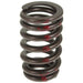 Melling Melling Valve Springs VS-1623 Autofit