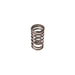 Melling Melling Valve Springs VS-2205 Autofit