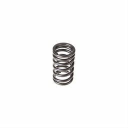 Melling Melling Valve Springs VS-2220 Autofit