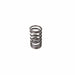 Melling Melling Valve Springs VS-2221 Autofit