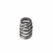 Melling Melling Valve Springs VS-2224 Autofit