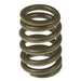 Melling Melling Valve Springs VS-2225 Autofit