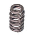 Melling Melling Valve Springs VS-2257 Autofit