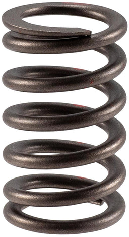 Melling Melling Valve Springs VS-2483 Autofit
