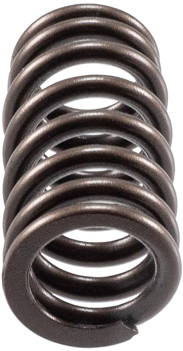 Melling Melling Valve Springs VS-2484 Autofit