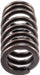 Melling Melling Valve Springs VS-2484 Autofit