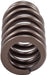 Melling Melling Valve Springs VS-2488 Autofit