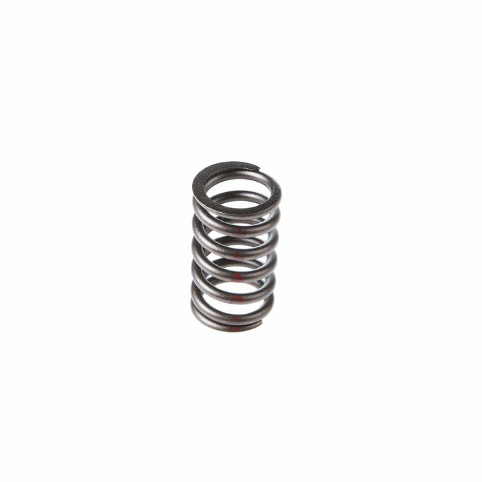 Melling Melling Valve Springs VS-310 Autofit