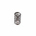 Melling Melling Valve Springs VS-310 Autofit
