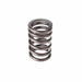 Melling Melling Valve Springs VS-350 Autofit
