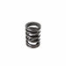 Melling Melling Valve Springs VS-420 Autofit