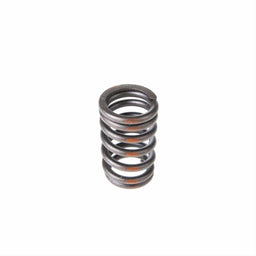 Melling Melling Valve Springs VS-510 Autofit