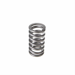 Melling Melling Valve Springs VS-540 Autofit