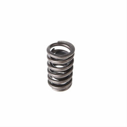Melling Melling Valve Springs VS-550 Autofit