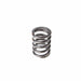 Melling Melling Valve Springs VS-720 Autofit