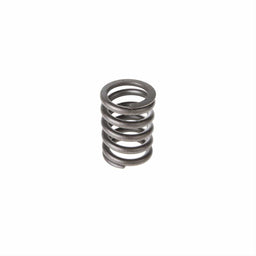Melling Melling Valve Springs VS-800 Autofit