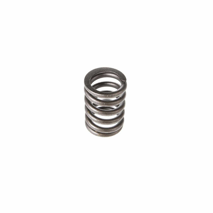 Melling Melling Valve Springs VS-830 Autofit