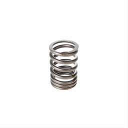 Melling Melling Valve Springs VS-870 Autofit