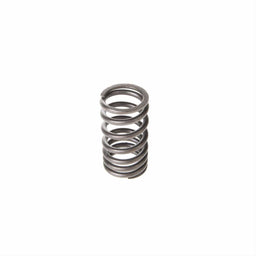 Melling Melling Valve Springs VS-920 Autofit