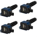 MSD Ignition MSD Direct Replacement Ignition Coil Packs 825945 Autofit