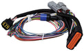 MSD Ignition MSD Power Grid Replacement Wiring Harnesses 7780 Autofit