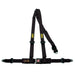OMP Racing Inc OMP Racing Road 3 Harnesses DA504071 Autofit