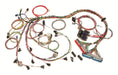 Painless Performance Painless Performance Fuel Injection Harnesses 60509 Autofit