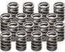 PERFSPRING Suit Mitsubishi 4G15/4G18 Valve Spring Kit PS3506-415-16 Autofit