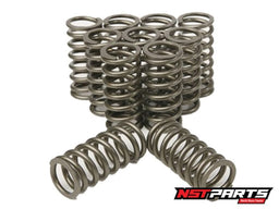PLAZMAMAN ENGINE COMPONENTS Plazmaman Ford Barra Heavy Duty Valve Springs 1200hp+ Autofit