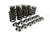 PLAZMAMAN ENGINE COMPONENTS Plazmaman RB30 Valve Springs + Titanium retainers Autofit