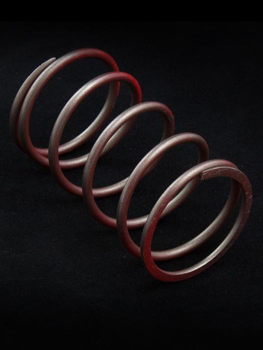 PRECISION TURBO & ENGINE Precision Turbo and Engine Wastegate Springs PBO085-3204 Autofit