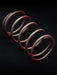 PRECISION TURBO & ENGINE Precision Turbo and Engine Wastegate Springs PBO085-3204 Autofit