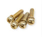Quick Fuel Quick Fuel Accelerator Pump Cover Screws 5-2QFT Autofit