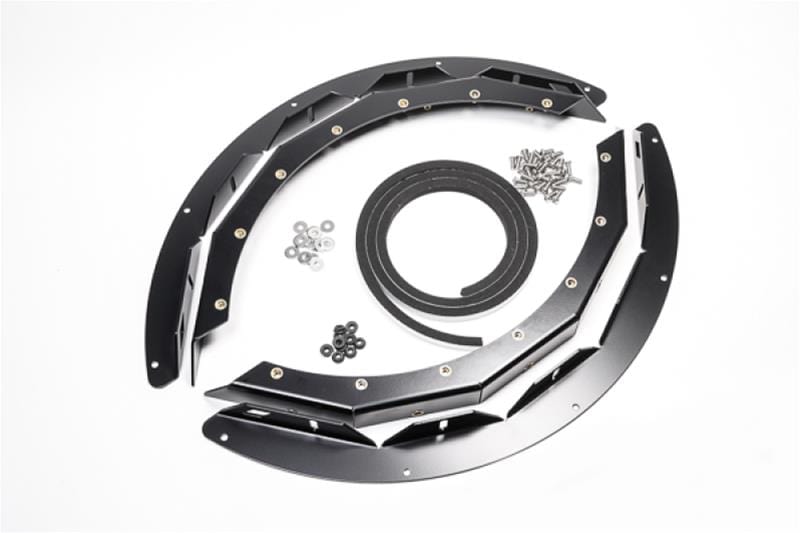 Radium Engineering Radium Engineering Fuel Cell Mounts 20-0931 Autofit