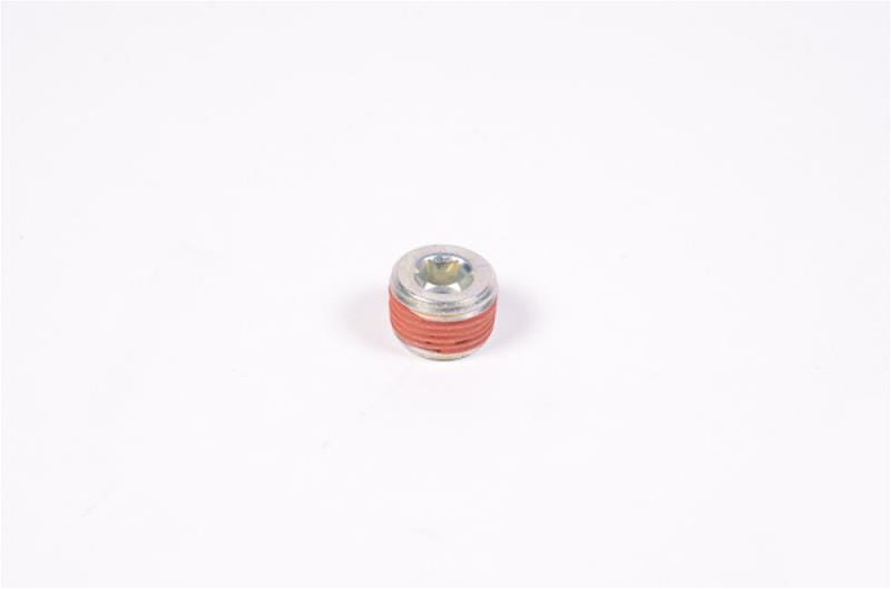 Radium Engineering Radium Engineering Plug Fittings 14-0173 Autofit