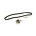 SKF Bearings SKF Bearings Timing Belt Kits TBK036P Autofit