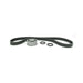 SKF Bearings SKF Bearings Timing Belt Kits TBK043P Autofit