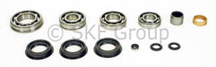 SKF Bearings SKF Bearings Transfer Case Rebuild Kits STCK4405-AA Autofit