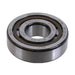 SKF Bearings SKF Bearings Universal Bearings NJ304-ECP VP Autofit
