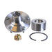 SKF Bearings SKF Bearings Wheel Bearing and Hub Repair Kits BR930894K Autofit