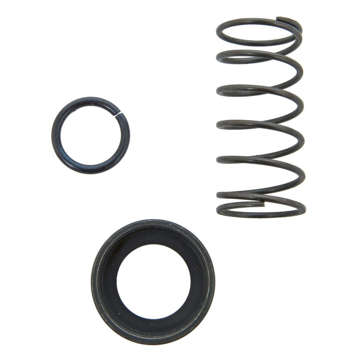 Tilton Engineering Tilton Replacement Starter Spring Kits 54-446 Autofit