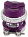 Turbosmart Turbosmart BOV RacePort Female GenV - Purple No Weld Flange Gen V Race Port BOV, Purple TS-0204-1143 Autofit