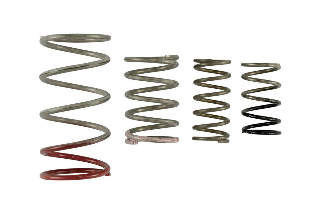 TURBOSMART WASTEGATES Turbosmart GenV IWG Spring Replacement Kit Autofit