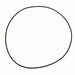 Winters Performance Products Winters Performance Products O-Rings 7463 Autofit