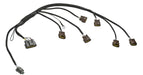 Wiring Specialties Wiring Specialties Ignition Coil Wiring Harnesses WRS-RB25S1PRO-COIL Autofit